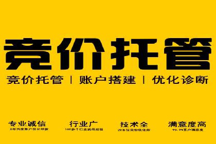 竞价开户策略解析：实战案例分享